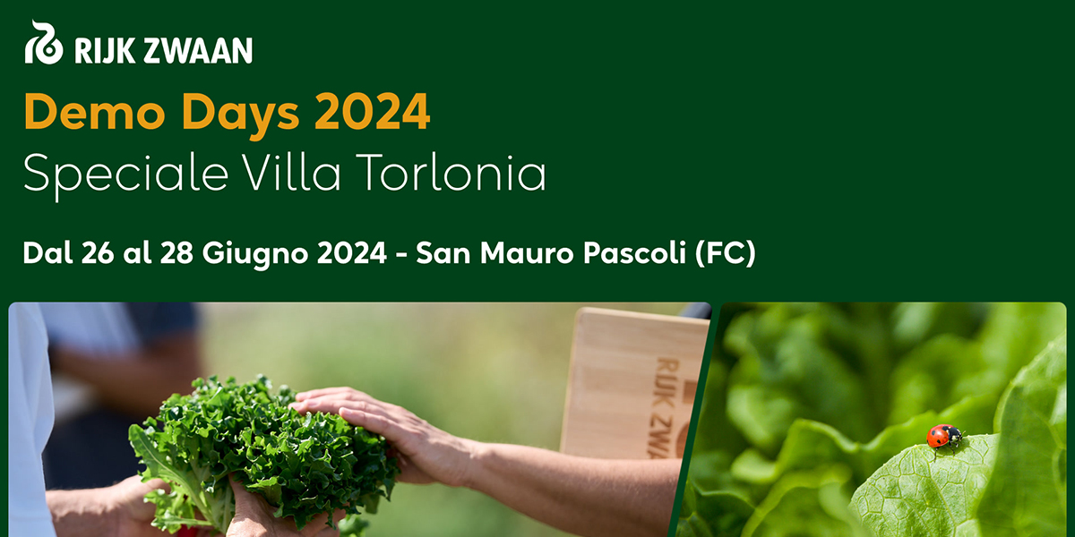 Tornano i Demo Days Rijk Zwaan dedicati all’innovazione varietale per il pieno campo
